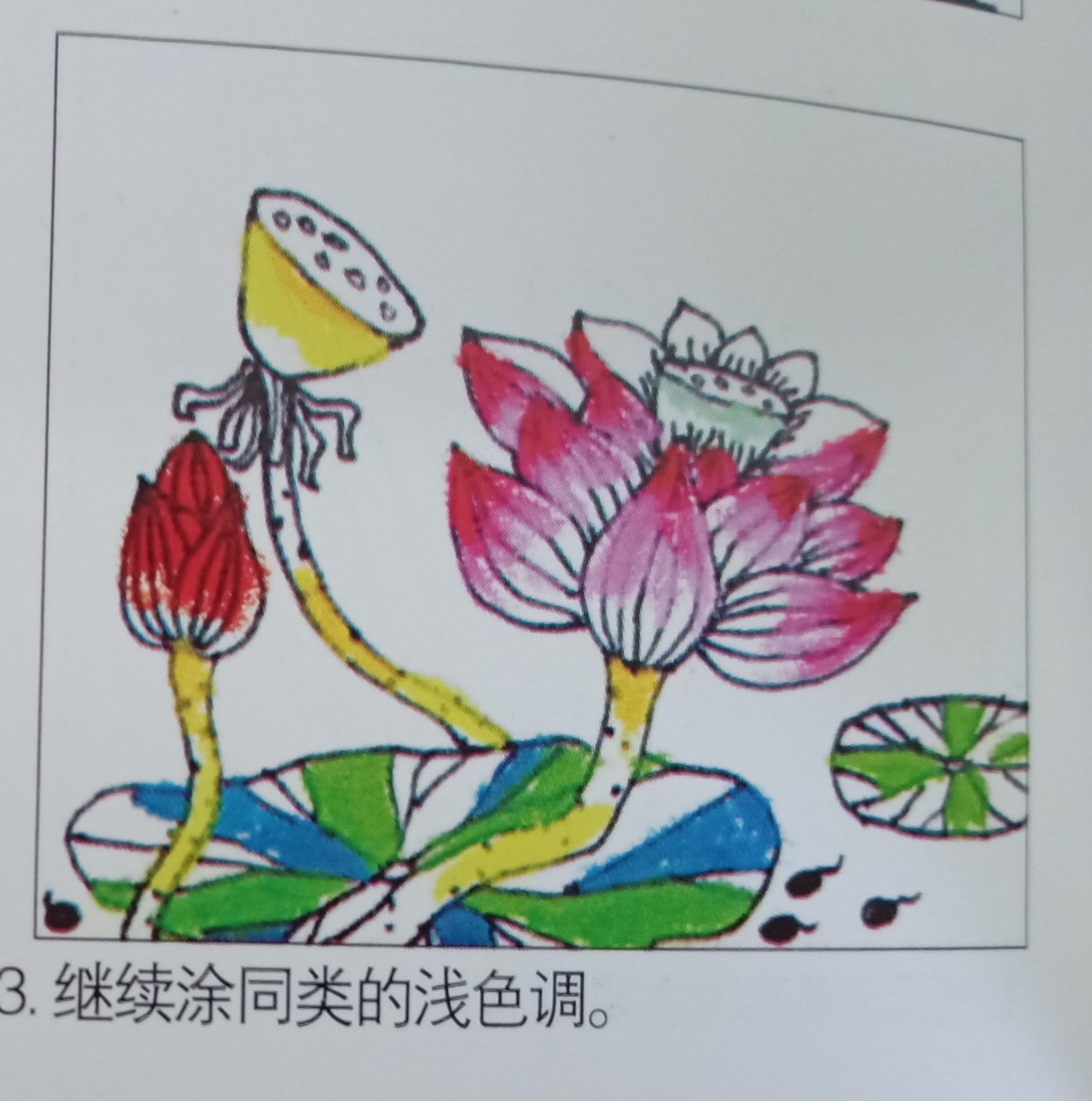 一年级下册美术(漂亮的荷花)