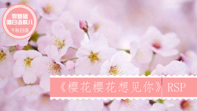 日语歌|《樱花樱花想见你》|千秋日语