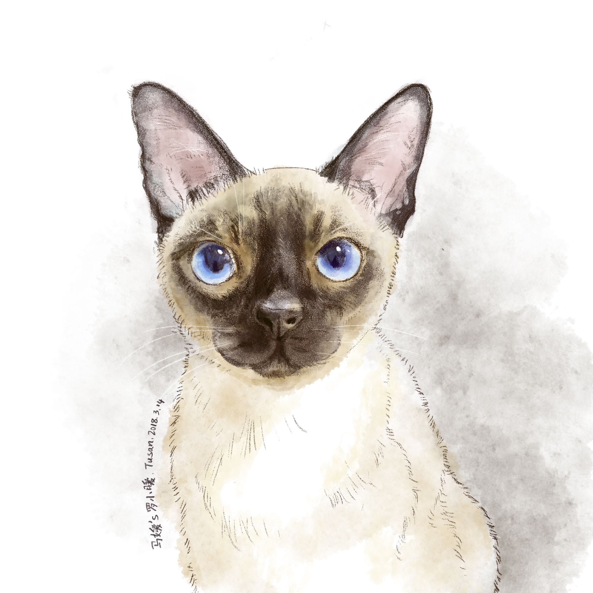 教你用ps画"疯"格猫