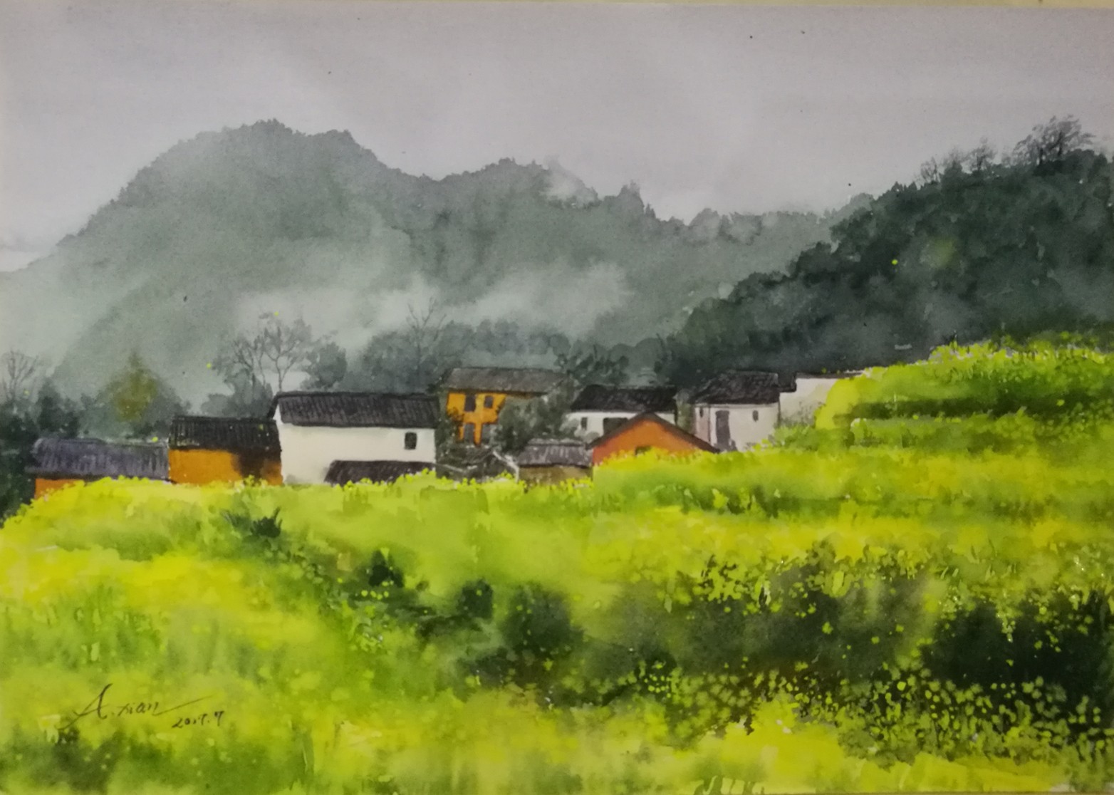 漫山遍野小小的油菜花