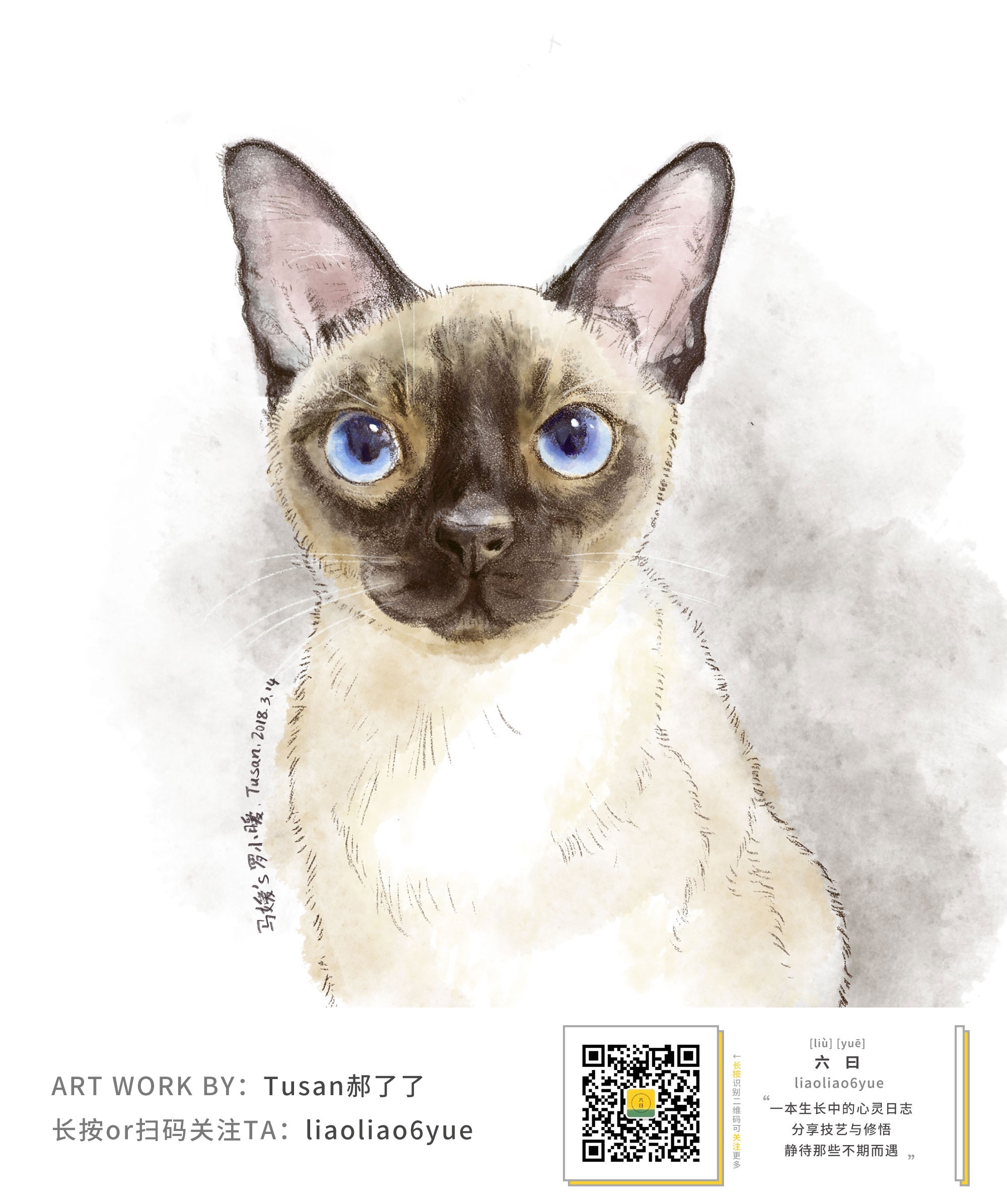 六神了了教你用ps画水彩风猫肖像