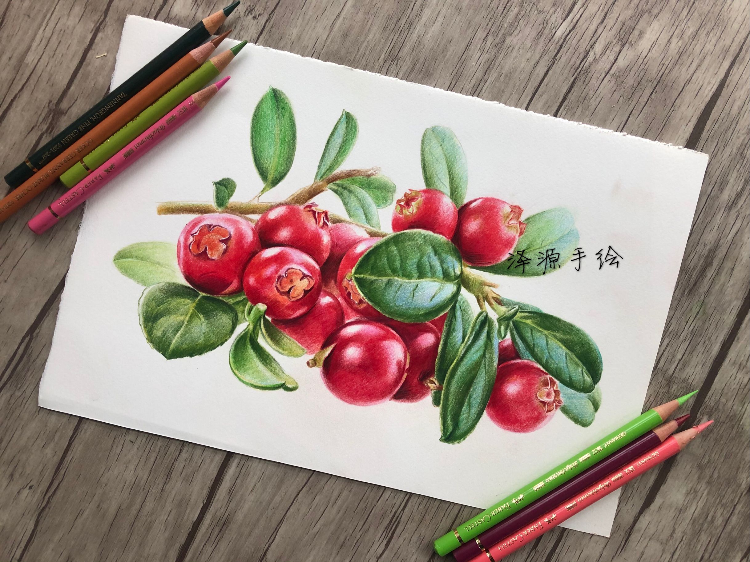 泽源彩铅水果绘(九个案例)