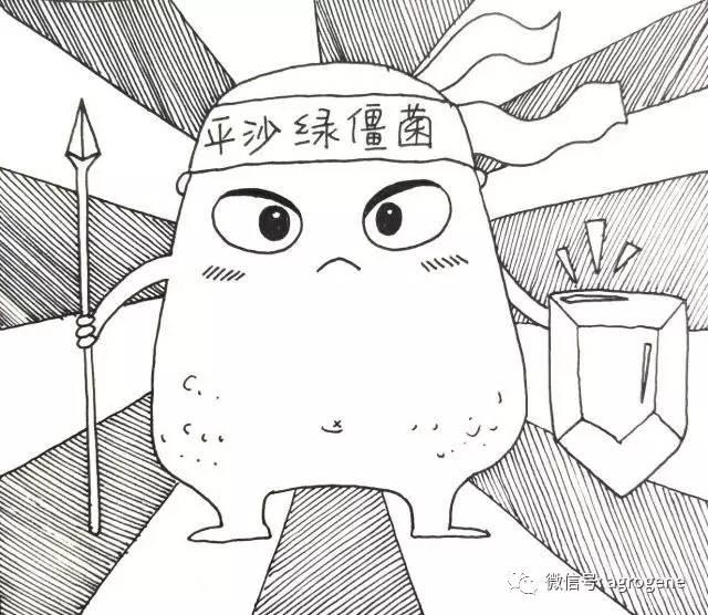 生物圈中的微生物